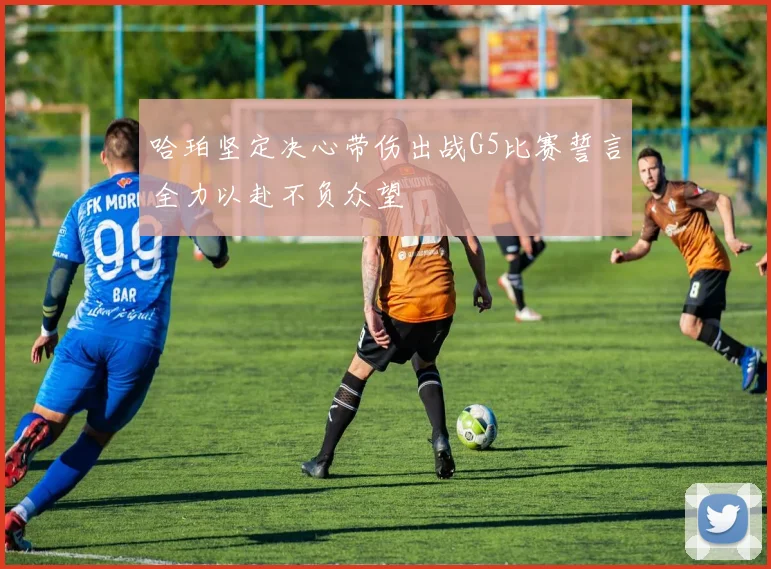 哈珀坚定决心带伤出战G5比赛誓言全力以赴不负众望